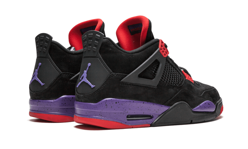 Air 4 Raptors